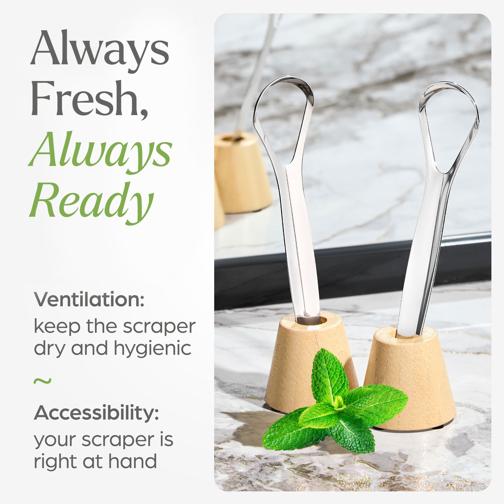 Tongue Scraper with Bamboo Stand - 2 Pack