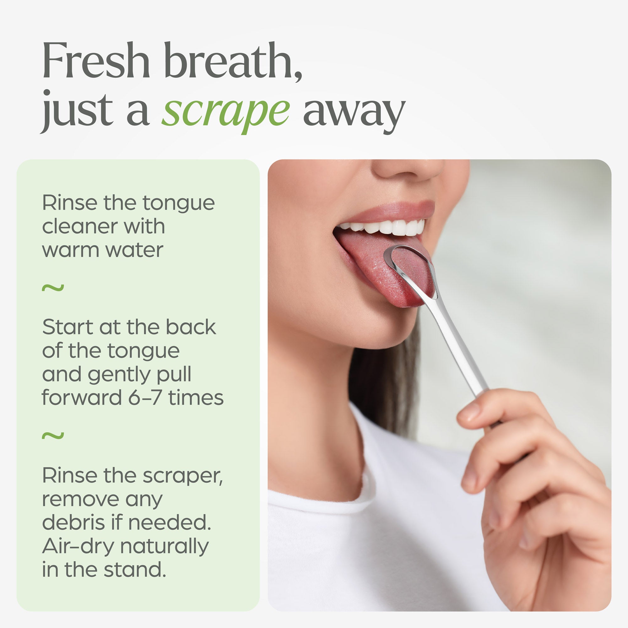 Tongue Scraper with Bamboo Stand - 2 Pack